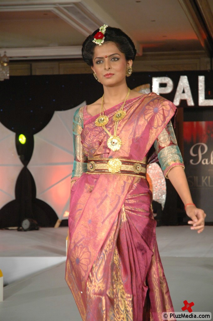 Palam Silk Fashion Show 2011 Pictures | Picture 74230